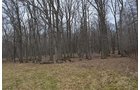 Property photo 11 - REAL ESTATE & FARM EQUIPMENT AUCTION IN ALLEN COUNTY, INDIANA